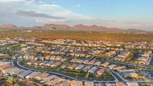 Talinn at Desert Ridge by D.R. Horton in Phoenix - photo 68 68