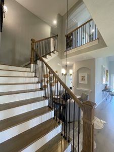 Homestead by CastleRock Communities in Schertz - photo 41 41