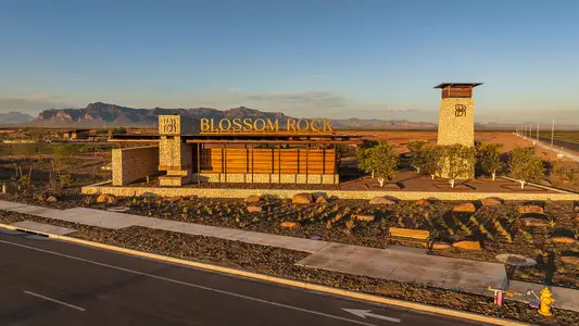Blossom Rock by Tri Pointe Homes in Apache Junction - photo