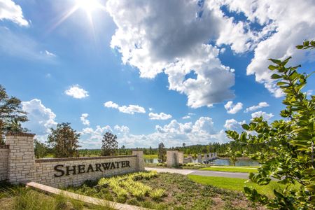 Shearwater by Ryan Homes in Saint Augustine - photo 13 13