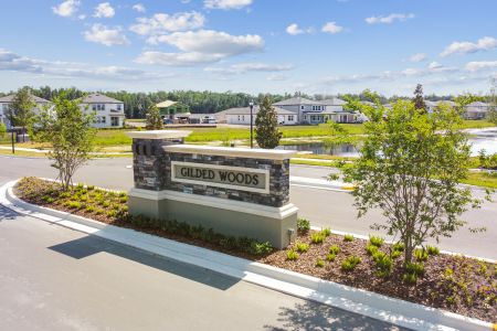 K-Bar Ranch Gilded Woods by M/I Homes in Tampa - photo 4 4