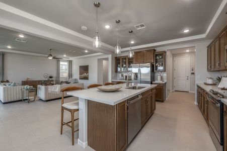 The Grove at El Cidro by William Ryan Homes in Goodyear - photo 102 102