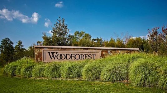 Woodforest 55' by Perry Homes in Montgomery - photo