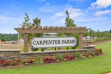 The Meadows at Carpenter Farms by Century Communities in Lincolnton - photo 32 32