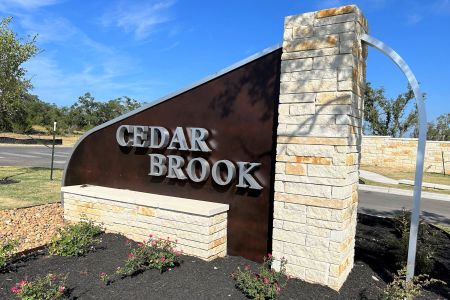 Cedar Brook by M/I Homes in Leander - photo 1