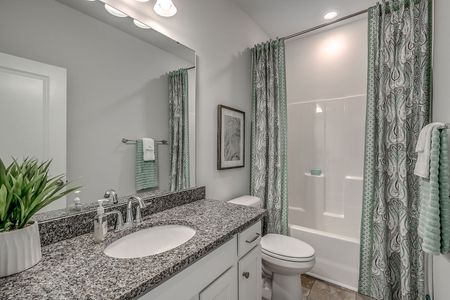 Petterson Meadows by Mungo Homes in Summerville - photo 109 109