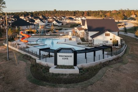 Westridge Cove by Coventry Homes in Conroe - photo 12 12