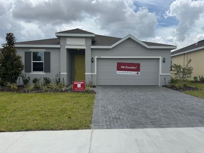 Tarpon Bay by Park Square Residential in Haines City - photo 4 4