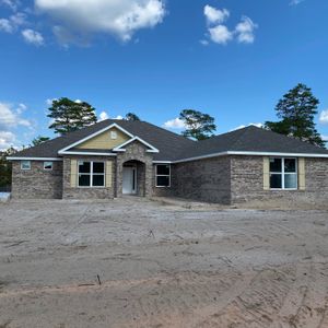 Sawmill Creek at Palm Coast Park by Holiday Builders in Palm Coast - photo 5 5