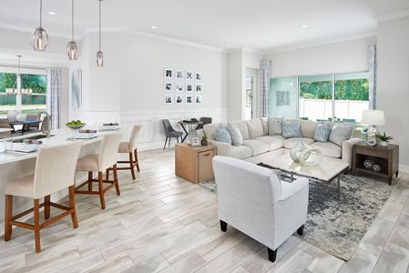 Marisol Pointe at MiraBay Florida Series by Park Square Residential in Apollo Beach - photo 18