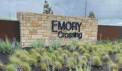 Emory Crossing by David Weekley Homes in Hutto - photo 6 6