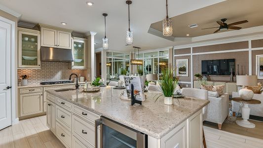 Esplanade at Wiregrass Ranch by Taylor Morrison in Wesley Chapel - photo 107 107