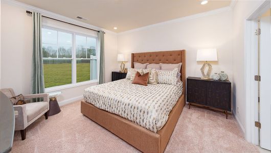 Blackstone Bay Townhomes by D.R. Horton in Sherrills Ford - photo 90 90