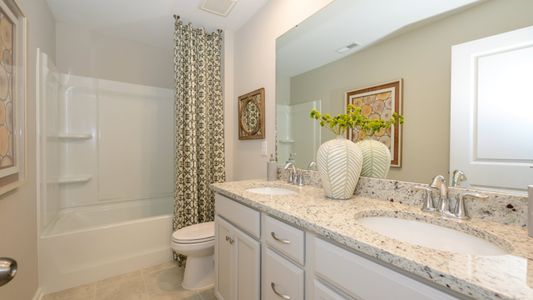 Falls Cove at Lake Norman by Lennar in Troutman - photo 17 17