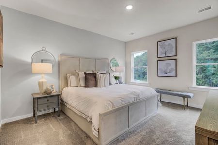 Indigo Grove Townes by Stanley Martin Homes in Johns Island - photo 18