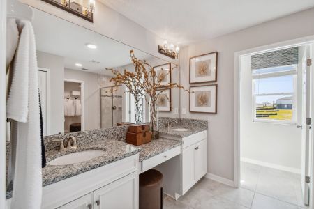 Berry Bay by M/I Homes in Wimauma - photo 40 40