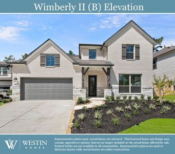 Nolina - 60' by Westin Homes in Georgetown - photo 6 6