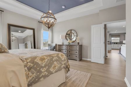 Talichet by Dream Finders Homes in Howey-in-the-Hills - photo 32 32