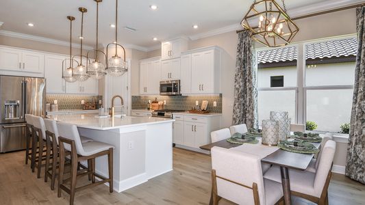 Esplanade at Artisan Lakes by Taylor Morrison in Palmetto - photo 55 55