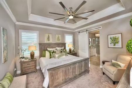 Persimmon Park by ICI Homes in Wesley Chapel - photo 24 24