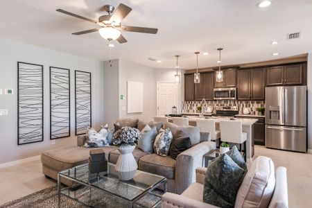 Hammock Reserve by Landsea Homes in Haines City - photo 43 43