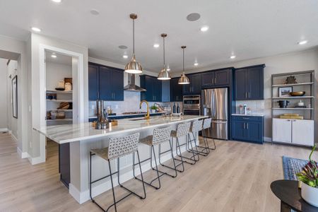 Trailstone Destination Collection by Taylor Morrison in Arvada - photo 95 95