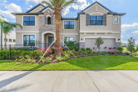 K-Bar Ranch Gilded Woods by M/I Homes in Tampa - photo 8