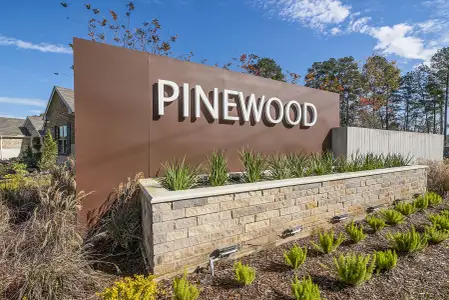 Pinewood at Grand Texas by M/I Homes in New Caney - photo 12 12