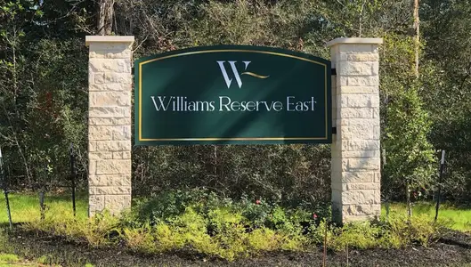Williams Reserve East by D.R. Horton in Conroe - photo 0 0