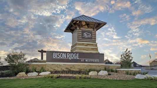 Bison Ridge 45' by Perry Homes in San Antonio - photo 0 0
