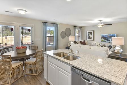 Petterson Meadows by Mungo Homes in Summerville - photo 75 75