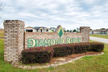 Diamond Ridge by Triple Crown Homes in Belleview - photo 16 16