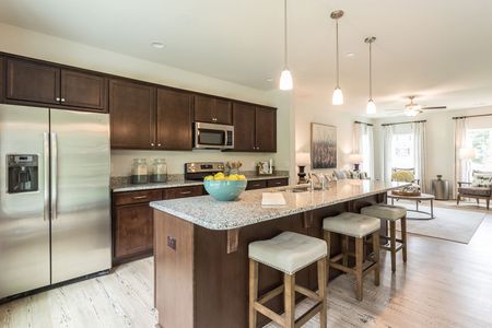Petterson Meadows by Mungo Homes in Summerville - photo 42 42