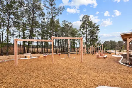 Lone Star Landing by M/I Homes in Montgomery - photo 4 4