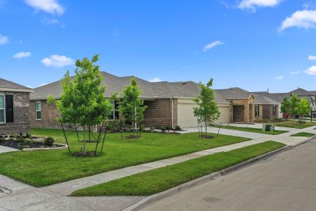 Verandah by M/I Homes in Royse City - photo 11 11