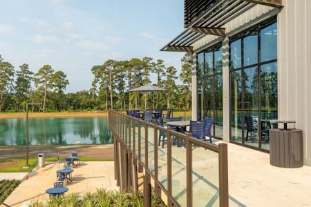 Grand Central Park – 50' by Westin Homes in Conroe - photo 6 6