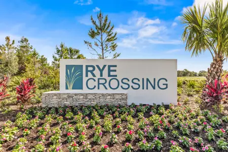 Rye Crossing by D.R. Horton in Parrish - photo 0