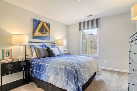 Petterson Meadows by Mungo Homes in Summerville - photo 24 24