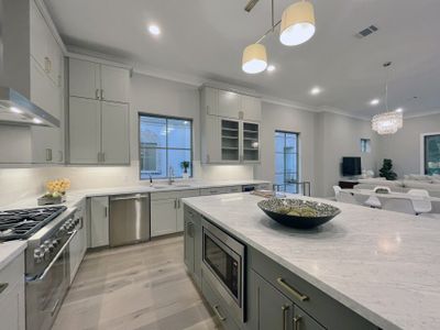 Reinicke Terrace by Farb Homes in Houston - photo 60 60
