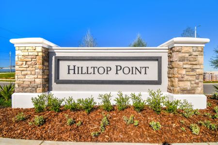 Hilltop Point by M/I Homes in Dade City - photo 44 44