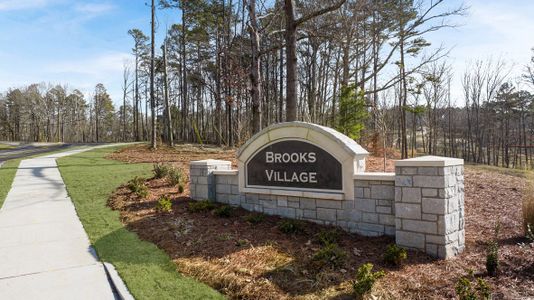 Brooks Village by D.R. Horton in Dacula - photo 1 1