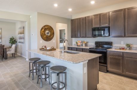 Royal Highlands by Maronda Homes in Brooksville - photo 43 43