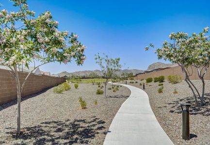 Canyon Views by Starlight Homes in Litchfield Park - photo 43 43