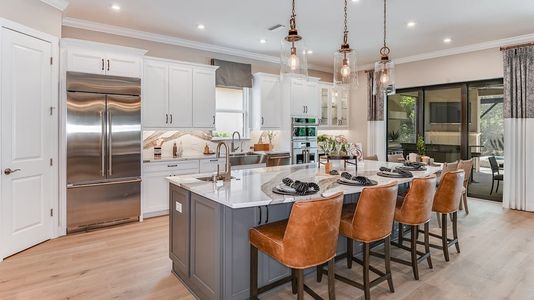 Esplanade at Artisan Lakes by Taylor Morrison in Palmetto - photo 34 34