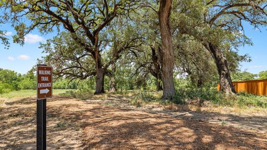 Cinco Lakes by Legend Homes in San Antonio - photo 18 18