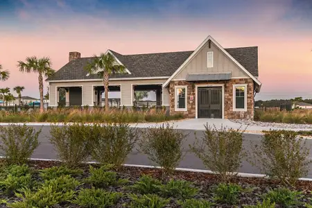 Hawkstone  by Homes by WestBay in Lithia - photo 6