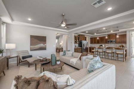 The Grove at El Cidro by William Ryan Homes in Goodyear - photo 91 91