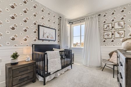 Paired Homes at Anthology North by Century Communities in Parker - photo 25 25