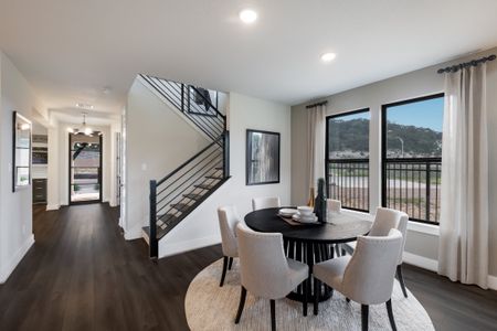 Crown Ridge Manor by Scott Felder Homes in San Antonio - photo 51 51