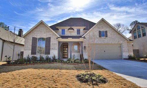 ARTAVIA: 60ft. Lots by Highland Homes in Conroe - photo 16 16